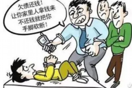 东兴区融资清欠服务